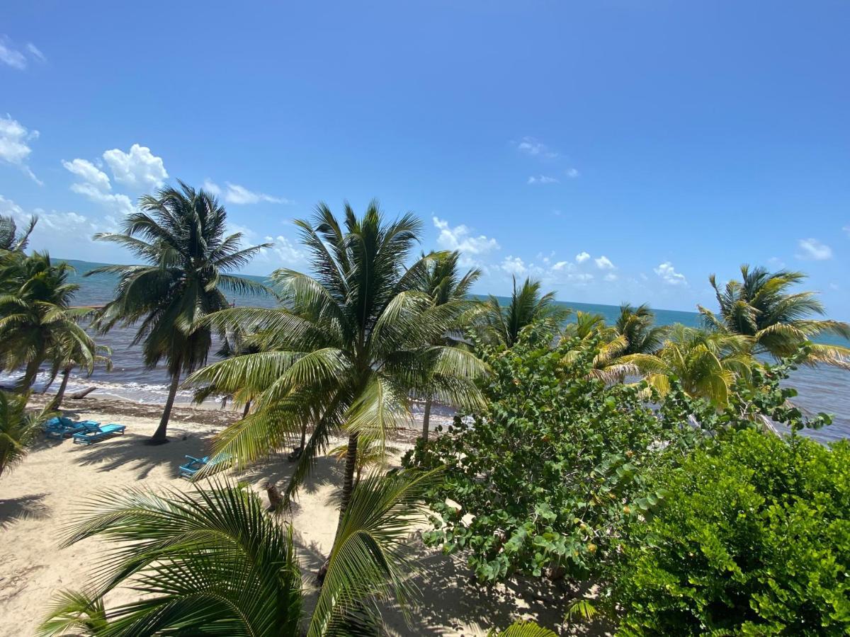 Tranquility Beach Suites Placencia Εξωτερικό φωτογραφία